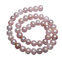 Brambor pěstované sladkovodní perle, Sladkovodní Pearl, přírodní, nachový, 10-11mm, Otvor:Cca 0.8mm, Prodáno za Cca 15.7 inch Strand