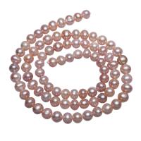 Bulvių išauginti gėlavandenių perlų karoliukai, Gėlo vandens perlų, Bulvė, natūralus, purpurinis, 5-5.5mm, Skylė:Apytiksliai 0.8mm, Parduota už Apytiksliai 15.5 Inch Strand