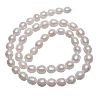 Bulvių išauginti gėlavandenių perlų karoliukai, Gėlo vandens perlų, Bulvė, natūralus, baltas, 6-7mm, Skylė:Apytiksliai 0.8mm, Parduota už Apytiksliai 15.3 Inch Strand