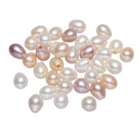 Naturalne perły słodkowodne perełki luźne, Perła naturalna słodkowodna, Ziemniak, mieszane kolory, 6.5-7mm, otwór:około 0.8mm, sprzedane przez KG