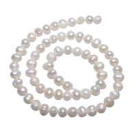 Brambor pěstované sladkovodní perle, Sladkovodní Pearl, přírodní, bílý, 5-6mm, Otvor:Cca 0.8mm, Prodáno za Cca 14.5 inch Strand