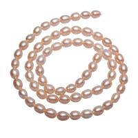 Brambor pěstované sladkovodní perle, Sladkovodní Pearl, přírodní, růžový, 4-5mm, Otvor:Cca 0.8mm, Prodáno za Cca 15.3 inch Strand