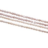 Barock odlad sötvattenspärla pärlor, Freshwater Pearl, Nuggets, naturlig, olika stilar för val, Hål:Ca 0.8mm, Säljs av Strand