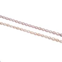 Cultured Rice Freshwater Pearl Beads natural 4-5mm Approx 0.8mm Sold By Strand