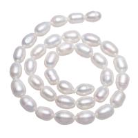 Riso coltivato in perla d'acqua dolce, perla d'acquadolce coltivata naturalmente, naturale, bianco, 8-9mm, Foro:Appross. 0.8mm, Venduto per Appross. 15 pollice filo