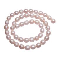 Bulvių išauginti gėlavandenių perlų karoliukai, Gėlo vandens perlų, Bulvė, natūralus, rožinis, 7-8mm, Parduota už Apytiksliai 15.3 Inch Strand