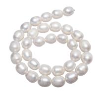 Bulvių išauginti gėlavandenių perlų karoliukai, Gėlo vandens perlų, Bulvė, natūralus, baltas, 11-12mm, Parduota už Apytiksliai 15.7 Inch Strand