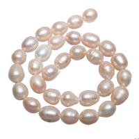 Bulvių išauginti gėlavandenių perlų karoliukai, Gėlo vandens perlų, Bulvė, natūralus, rožinis, 10-11mm, Skylė:Apytiksliai 1.5mm, Parduota už Apytiksliai 15 Inch Strand