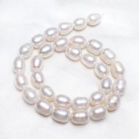 Riso coltivato in perla d'acqua dolce, perla d'acquadolce coltivata naturalmente, naturale, bianco, 10-11mm, Foro:Appross. 0.8mm, Venduto per Appross. 15 pollice filo