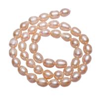 Riso coltivato in perla d'acqua dolce, perla d'acquadolce coltivata naturalmente, naturale, rosa, 7-8mm, Foro:Appross. 0.8mm, Venduto per Appross. 15.5 pollice filo