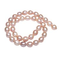 Brambor pěstované sladkovodní perle, Sladkovodní Pearl, přírodní, smíšené barvy, 10-11mm, Otvor:Cca 0.8mm, Prodáno za Cca 15 inch Strand
