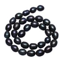 Bulvių išauginti gėlavandenių perlų karoliukai, Gėlo vandens perlų, Bulvė, juodas, 10-11mm, Skylė:Apytiksliai 1mm, Parduota už Apytiksliai 15.5 Inch Strand