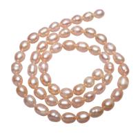 Bulvių išauginti gėlavandenių perlų karoliukai, Gėlo vandens perlų, Bulvė, natūralus, rožinis, 6-7mm, Skylė:Apytiksliai 0.8mm, Parduota už Apytiksliai 14.5 Inch Strand