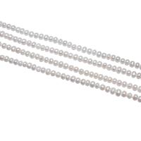 Brambor pěstované sladkovodní perle, Sladkovodní Pearl, přírodní, bílý, 3-4mm, Otvor:Cca 0.8mm, Prodáno za Cca 15 inch Strand