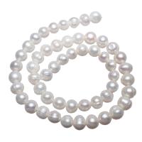 Brambor pěstované sladkovodní perle, Sladkovodní Pearl, přírodní, bílý, 7-8mm, Otvor:Cca 0.8mm, Prodáno za Cca 14.7 inch Strand