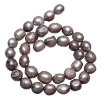 Bulvių išauginti gėlavandenių perlų karoliukai, Gėlo vandens perlų, Bulvė, pilkas, 10-11mm, Skylė:Apytiksliai 0.8mm, Parduota už Apytiksliai 15 Inch Strand