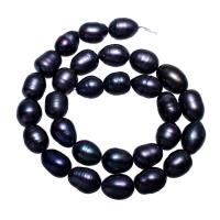 Brambor pěstované sladkovodní perle, Sladkovodní Pearl, tmavě fialová, 10-11mm, Otvor:Cca 0.8mm, Prodáno za Cca 14.7 inch Strand
