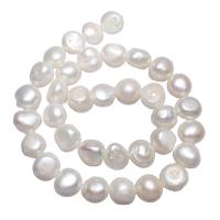 Brambor pěstované sladkovodní perle, Sladkovodní Pearl, přírodní, bílý, 11-12mm, Otvor:Cca 0.8mm, Prodáno za Cca 15 inch Strand