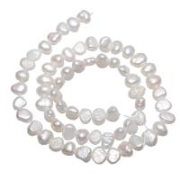Brambor pěstované sladkovodní perle, Sladkovodní Pearl, přírodní, bílý, 6-7mm, Otvor:Cca 0.8mm, Prodáno za Cca 14.5 inch Strand