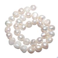 Brambor pěstované sladkovodní perle, Sladkovodní Pearl, přírodní, bílý, 11-12mm, Otvor:Cca 0.8mm, Prodáno za Cca 14.5 inch Strand
