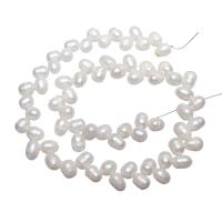 Bulvių išauginti gėlavandenių perlų karoliukai, Gėlo vandens perlų, Bulvė, natūralus, baltas, 7-8mm, Skylė:Apytiksliai 0.8mm, Parduota už Apytiksliai 15 Inch Strand