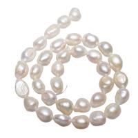 Bulvių išauginti gėlavandenių perlų karoliukai, Gėlo vandens perlų, Bulvė, natūralus, baltas, 10-11mm, Skylė:Apytiksliai 0.8mm, Parduota už Apytiksliai 14.5 Inch Strand
