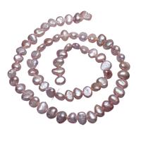 Bulvių išauginti gėlavandenių perlų karoliukai, Gėlo vandens perlų, Bulvė, natūralus, purpurinis, 5-6mm, Skylė:Apytiksliai 0.8mm, Parduota už Apytiksliai 14.5 Inch Strand