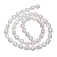 Bulvių išauginti gėlavandenių perlų karoliukai, Gėlo vandens perlų, Bulvė, natūralus, baltas, 7-8mm, Skylė:Apytiksliai 0.8mm, Parduota už Apytiksliai 14.5 Inch Strand