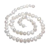 Cultured Potato Freshwater Pearl Beads natural white 7-8mm Approx 0.8mm Sold Per Approx 15 Inch Strand