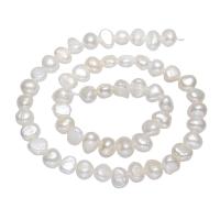 Cultured Potato Freshwater Pearl Beads natural white 7-8mm Approx 0.8mm Sold Per Approx 14 Inch Strand