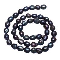 Bulvių išauginti gėlavandenių perlų karoliukai, Gėlo vandens perlų, Bulvė, juodas, 7-8mm, Skylė:Apytiksliai 0.8mm, Parduota už Apytiksliai 15 Inch Strand