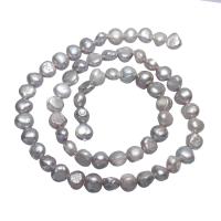 Bulvių išauginti gėlavandenių perlų karoliukai, Gėlo vandens perlų, Bulvė, pilkas, 6-7mm, Skylė:Apytiksliai 0.8mm, Parduota už Apytiksliai 15 Inch Strand