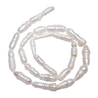 Perles nacres baroques de culture d'eau douce , perle d'eau douce cultivée, pepite, naturel, blanc, 3-4mm, Vendu par Environ 15 pouce brin