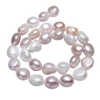 Bulvių išauginti gėlavandenių perlų karoliukai, Gėlo vandens perlų, Bulvė, natūralus, 11-12mm, Skylė:Apytiksliai 0.8mm, Parduota už Apytiksliai 15.5 Inch Strand