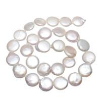 Coin odlad sötvattenspärla pärlor, Freshwater Pearl, Flat Round, naturlig, vit, 13-14mm, Hål:Ca 0.8mm, Såld Per Ca 14.5 inch Strand
