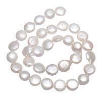 Coin odlad sötvattenspärla pärlor, Freshwater Pearl, Flat Round, naturlig, vit, 10-11mm, Hål:Ca 0.8mm, Såld Per Ca 15.3 inch Strand