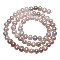 Bulvių išauginti gėlavandenių perlų karoliukai, Gėlo vandens perlų, Bulvė, natūralus, purpurinis, 6-7mm, Skylė:Apytiksliai 0.8mm, Parduota už Apytiksliai 15 Inch Strand
