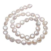 Monetų Kultūringas gėlavandenių perlų karoliukai, Gėlo vandens perlų, Butas Round, natūralus, baltas, 8-9mm, Skylė:Apytiksliai 0.8mm, Parduota už Apytiksliai 15.3 Inch Strand