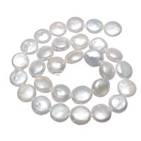 Brambor pěstované sladkovodní perle, Sladkovodní Pearl, Flat Round, přírodní, bílý, 12-14mm, Otvor:Cca 0.8mm, Prodáno za Cca 16.1 inch Strand