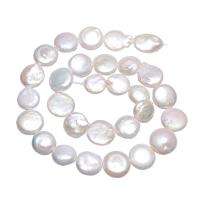 Coin odlad sötvattenspärla pärlor, Freshwater Pearl, Flat Round, naturlig, vit, 12-13mm, Hål:Ca 0.8mm, 26PC/Strand, Såld Per Ca 15.7 inch Strand