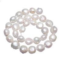 Bulvių išauginti gėlavandenių perlų karoliukai, Gėlo vandens perlų, Bulvė, natūralus, baltas, 11-13mm, Skylė:Apytiksliai 0.8mm, Parduota už Apytiksliai 15.5 Inch Strand