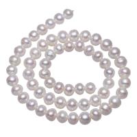 Bulvių išauginti gėlavandenių perlų karoliukai, Gėlo vandens perlų, Bulvė, su Troll, baltas, 7-8mm, Skylė:Apytiksliai 0.8mm, Parduota už Apytiksliai 14.5 Inch Strand