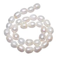 Brambor pěstované sladkovodní perle, Sladkovodní Pearl, přírodní, bílý, 11-12mm, Otvor:Cca 2mm, Prodáno za 15 inch Strand