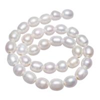 Bulvių išauginti gėlavandenių perlų karoliukai, Gėlo vandens perlų, Bulvė, natūralus, baltas, 11-12mm, Skylė:Apytiksliai 2.5mm, Parduota už 15 Inch Strand