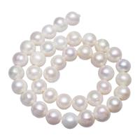 Brambor pěstované sladkovodní perle, Sladkovodní Pearl, přírodní, bílý, 11-12mm, Otvor:Cca 2mm, Prodáno za 15.7 inch Strand