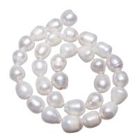 Bulvių išauginti gėlavandenių perlų karoliukai, Gėlo vandens perlų, Bulvė, natūralus, baltas, 11-12mm, Skylė:Apytiksliai 2mm, Parduota už 15.5 Inch Strand