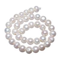 Bulvių išauginti gėlavandenių perlų karoliukai, Gėlo vandens perlų, Bulvė, su Troll, baltas, 11-12mm, Skylė:Apytiksliai 3mm, Parduota už 15.3 Inch Strand