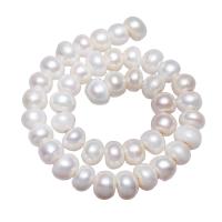Brambor pěstované sladkovodní perle, Sladkovodní Pearl, přírodní, bílý, 12-13mm, Otvor:Cca 2.5mm, Prodáno za 15.3 inch Strand