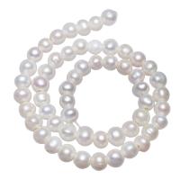 Brambor pěstované sladkovodní perle, Sladkovodní Pearl, přírodní, bílý, 8-9mm, Otvor:Cca 2mm, Prodáno za 15 inch Strand
