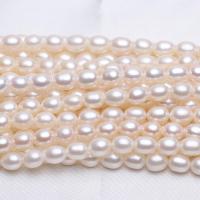 Cultured Rice Freshwater Pearl Beads natural white 7-8mm Approx 0.8mm Sold Per Approx 15 Inch Strand